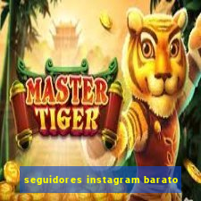 seguidores instagram barato